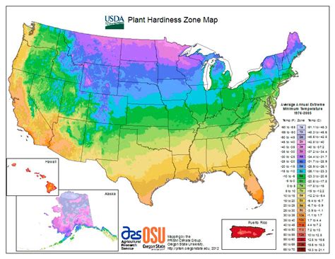 The last frost date is at the beginning of march and the first frost date is about mid december. Starting seeds indoors: What you need to know - Farm and Dairy