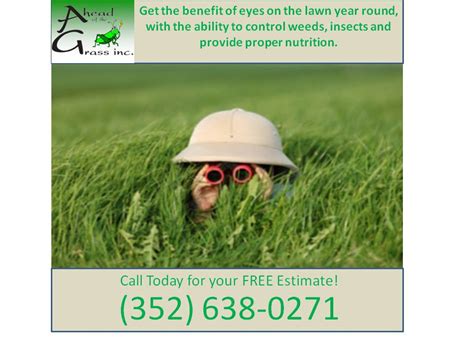 This is an entry level position but allows one to get their feet in the door to learn and watch dental assisting while helping. Ahead Of The Grass Fruitland Park, FL 34731 - YP.com