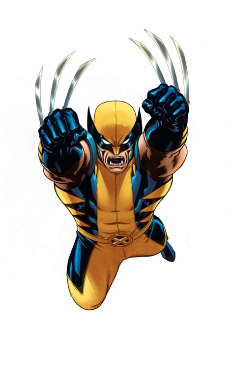 Wolverine Marvel Universe Line By Edmcguinness On Deviantart