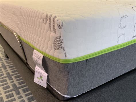 Due to its construction and the latex materials, you receive plenty of support around your entire body. Pure Bliss - Double 100% Organic Latex Mattress