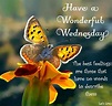 Wonderful Wednesday wednesday wednesday quotes wednesday images ...