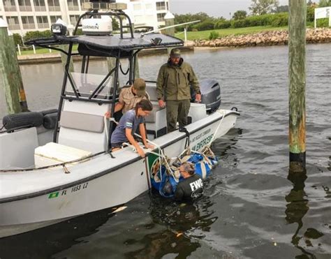 Worst Red Tide Bloom In Over A Decade Destroys Marine Mammals Wipes Out Marine Life Kobee