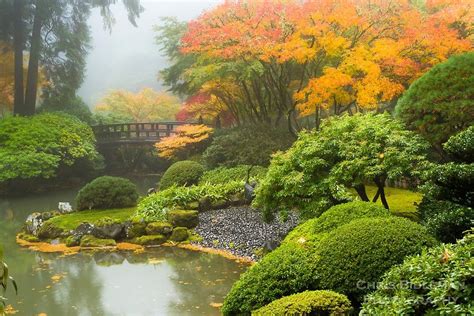Japanese Maples And Ponds Perfect Portland Japanese Garden Japanese