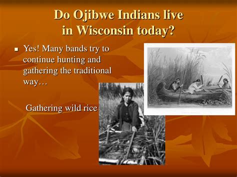 Ppt Important Treaties For Ojibwe Indians In Wisconsin Powerpoint Presentation Id7065947