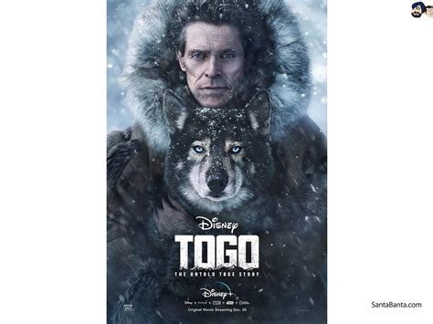 We explain why the togo true story has a sadder ending than the disney movie. Togo Wallpaper #1