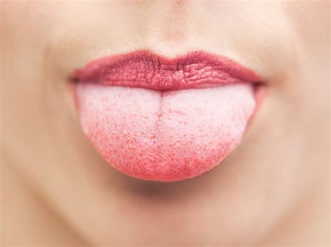 Facts About Taste Buds Healthy Living