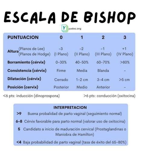 Escala De Bishop YUDOC ORG UDocz