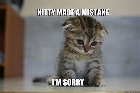 Im Sorry Kitten