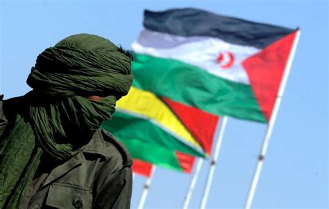 Beatiful Wallpaper Flag Of Western Sahara
