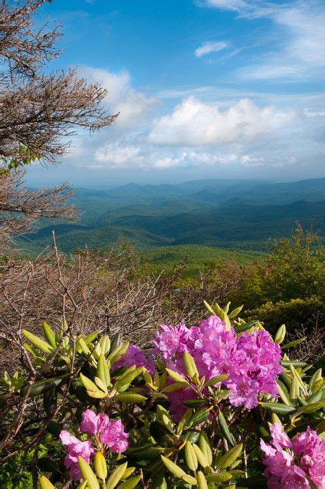 40 Smoky Mountain Springtime Ideas Smoky Mountains Smokies Great