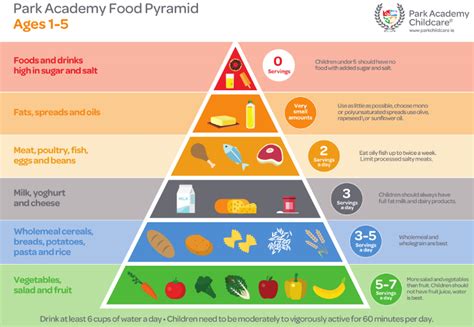 The Park Academy Food Pyramid For Children Aged 1 5 Plus Seven Healthy