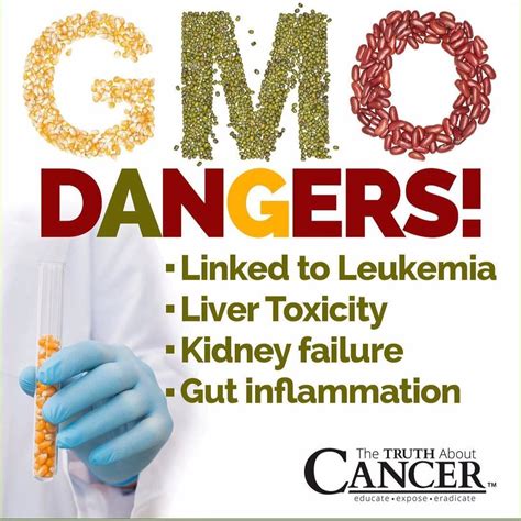 Gmo Dangers Say No To Gmos Genetically Modified Organisms By The