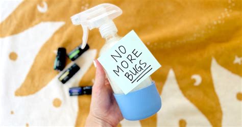 Easy Homemade Bug Spray That Actually Works Hip2save