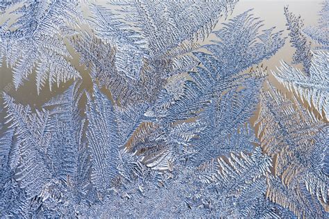 Ice Crystals On A Window Stock Image C0061025 Science Photo Library