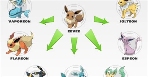 Evoluçoes do Eevee Blog Otpokemon