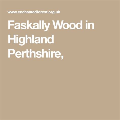 Faskally Wood In Highland Perthshire Ecosse