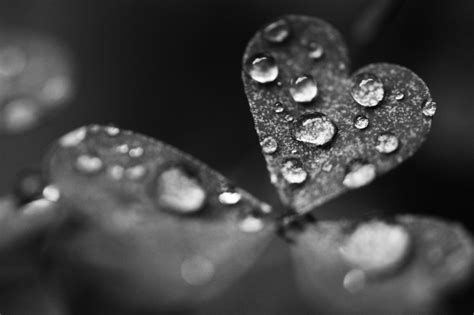 Raindrops Fall To The Beat Of My Heart Love Rain I Love Rain Rain