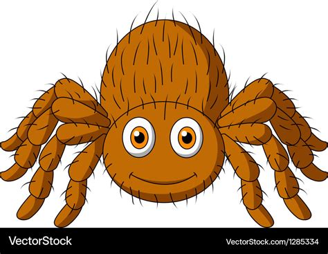 Cute Tarantula Spider Cartoon Royalty Free Vector Image
