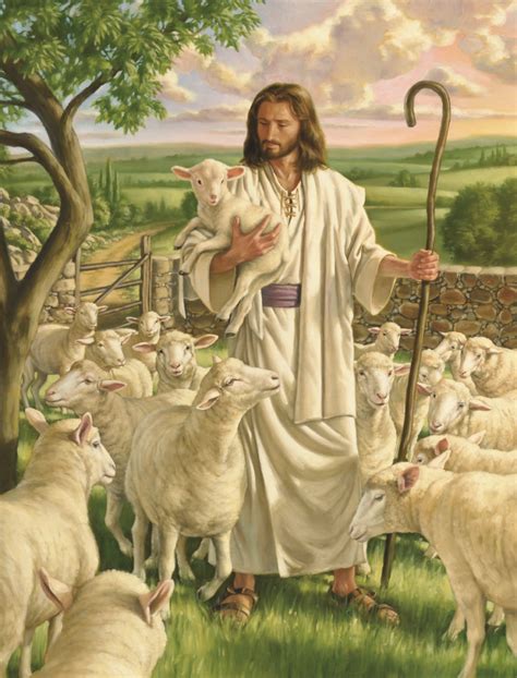 New Testament 3 Lesson 8 The Good Shepherd Seeds Of Faith Podcast