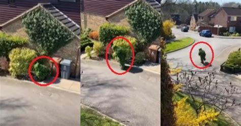 Viral Video Uk Man Dress Up As Bush Break Lockdown And Go Collect A Package