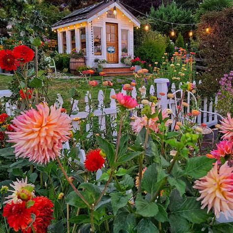 An Enchanted Evening Summer Stroll Through The Cottage Garden Shiplap
