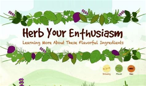 Herb Your Enthusiasm Infographic Herbs Planting Herbs Grow Your