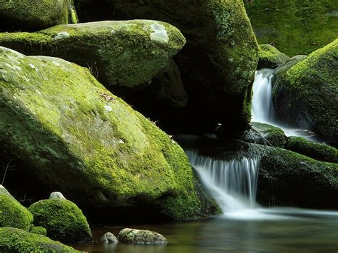 Waterfall Rocks Stones Timelapse Moss Hd Nature Rocks Stones