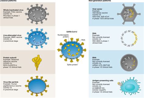 Vaccines are available at no cost to you. Next-generation vaccine platforms for COVID-19 | Nature ...