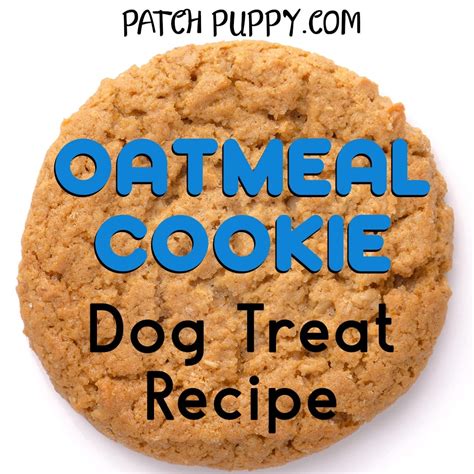 Oatmeal Cookies For Our Dogs