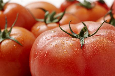 토마토 정체는 반인반수를 닮은 과채류(과일 또는 채소). 남자에게 참 좋은 토마토, 영양소 극대화시키는 방법 - 당신의 ...