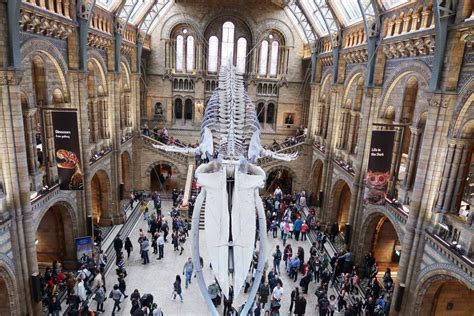 What To See At The Natural History Museum With Kids A Mum In London