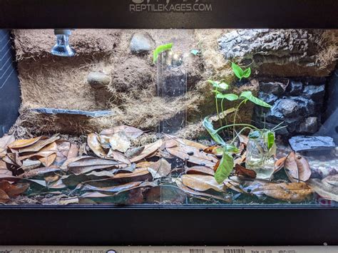 Premium Pvc Reptile Enclosure 4x2x2 Ft Kages