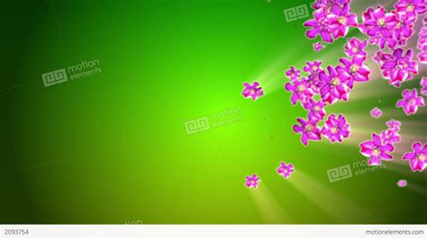Mother Nature Flower Background Stock Animation 2093754