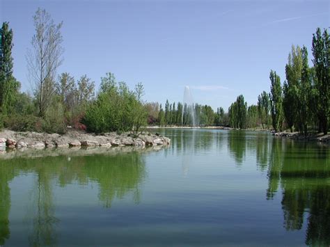 Tú eliges con quién quieres trabajar, que catering te gusta, que empresa de flores prefieres, cuál es tu dj favorito… HAZTE SOCIO DE LA A.VV. EL SOTO - AVV El Soto
