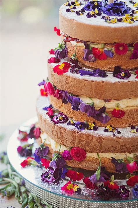 Naked Cake Sponge Layer Flowers Icing Berries Home Made Countryside