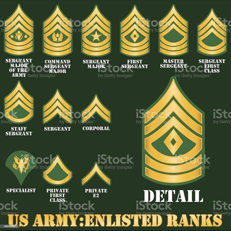 The rank structure of the us army are broken down into three categories: Us Army Enlisted Ranks Stock Illustration - Download Image ...