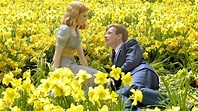 Big Fish Movie Wallpapers - Top Free Big Fish Movie Backgrounds ...