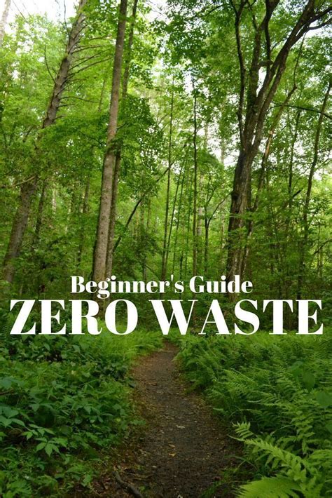 Beginner S Guide To Zero Waste Tiny Yellow Bungalow Eco Friendly