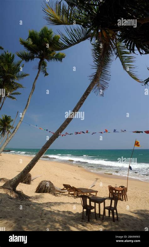 Sri Lanka Tangalle Beach Stock Photo Alamy