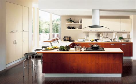 How To Remodel A Contemporary Kitchen Designs Roy Home Design