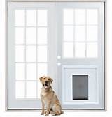 Doggie Doors For Sliding Patio Doors