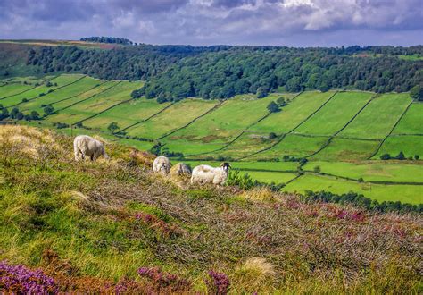 Fryup Dale North Yorks Moors Photograph by Trevor Kersley