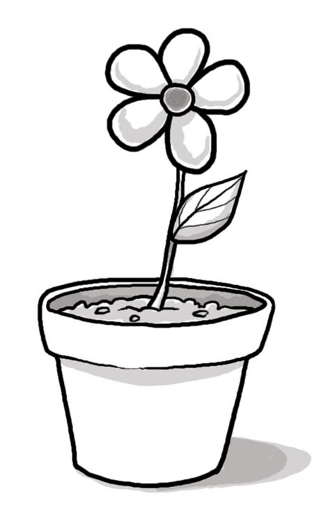 Black And White Plant Clipart Free Download On Clipartmag