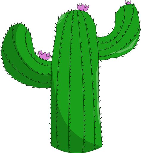Saguaro Cactus Clipart Free Download Transparent Png Creazilla