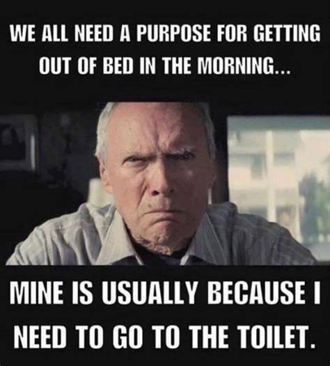 A Purpose To Get Out Of Bed Funlexia Funny Pictures