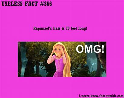 Facts Useless Never Knew Know Random Fun