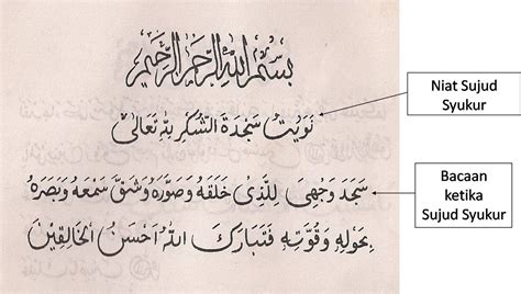 Sembahyang sunat ialah satu panduan cara menjalankan solat solat sunat harian dengan penerangan yang ringkas dan mudah. walimahpedia : Sujud syukur @ solat sunat nikah?