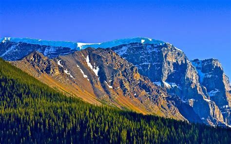 다운로드 산 숲 국립공원 재스퍼 캐나다 아이스 파크웨이 바탕 화면 무료 데스크톱 용 무료 데스크톱 용 그림