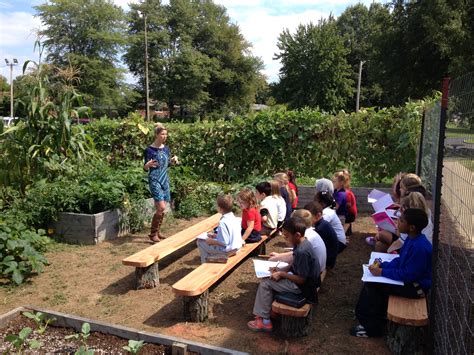 Classroom Success Story: School Garden Grows Important Lessons for