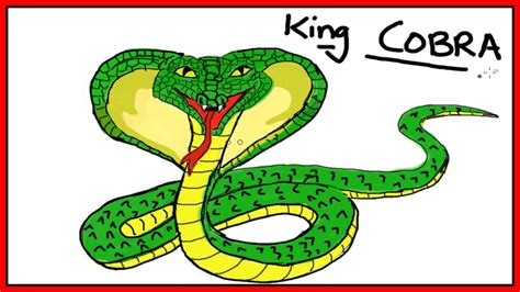 How To Draw A King Cobra Step By Step Easy